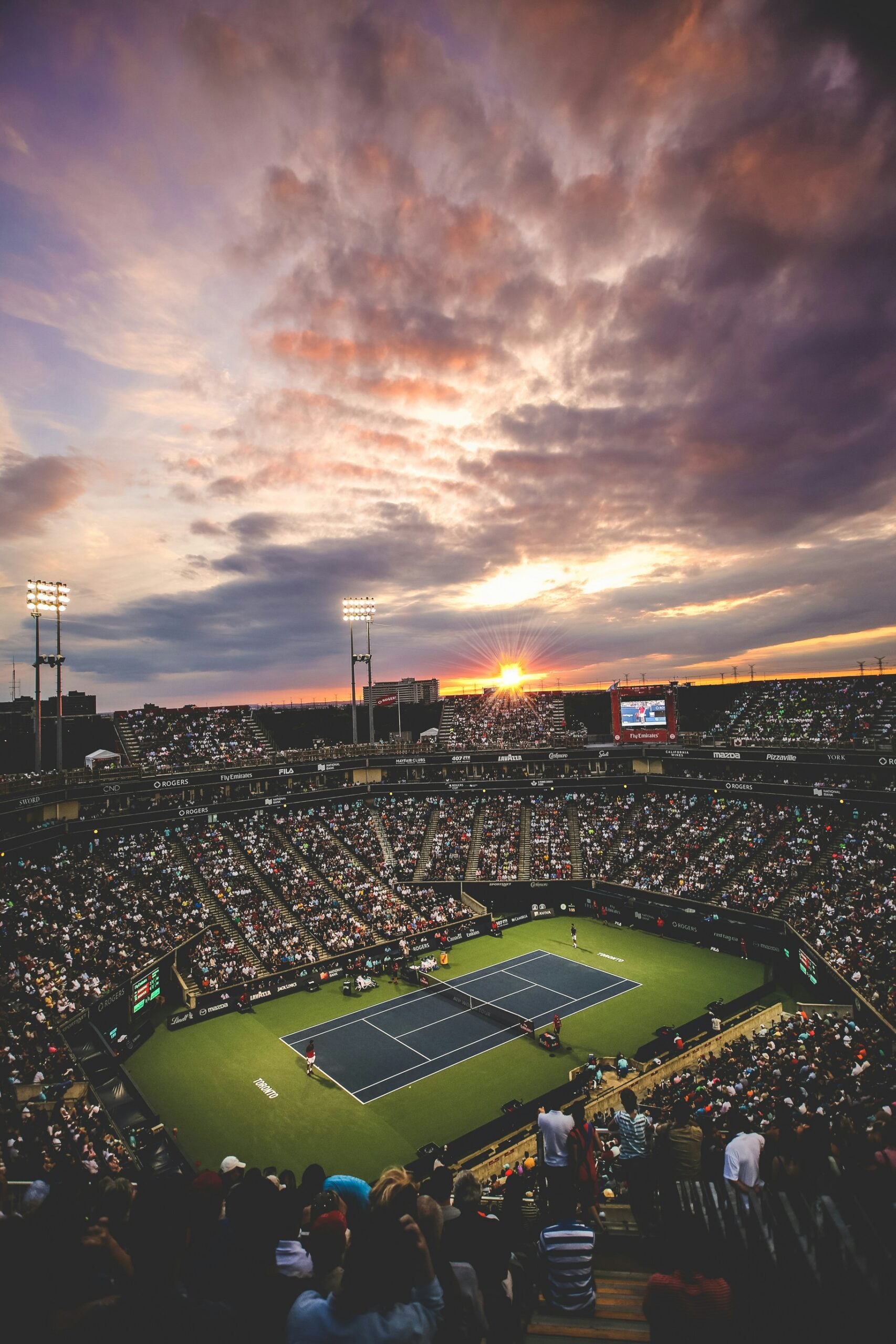 Innovations in Sports Injury Rehabilitation