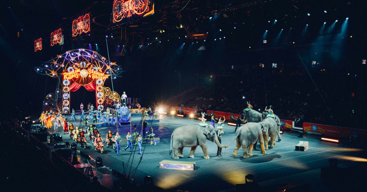 Celebrating Achievements Paralympic Games