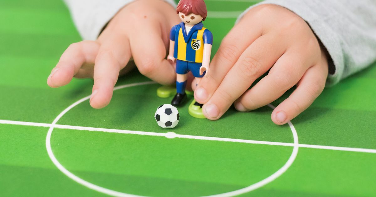 Economic Impact of Professional Sports Investments