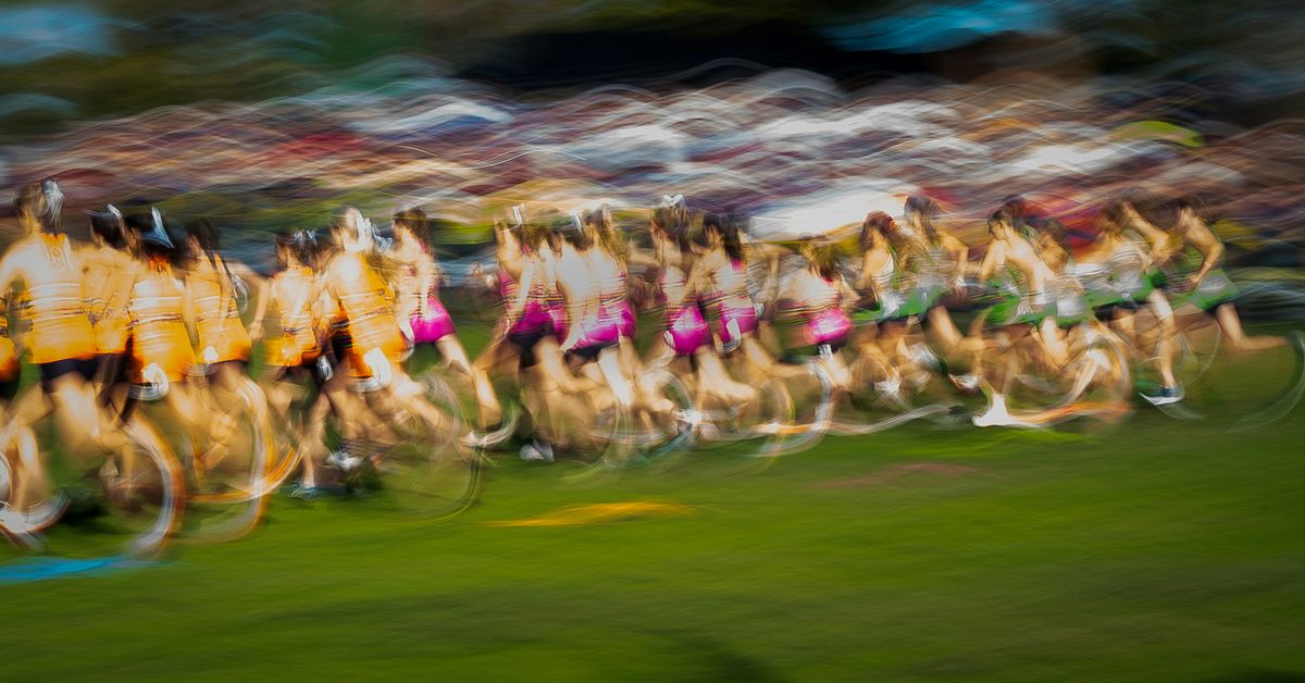 Cultural Influence of Major Sports Competitions