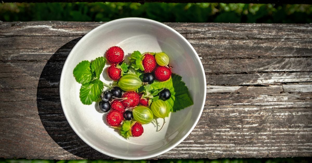 EcoFriendly Ingredients Sustainable Eating
