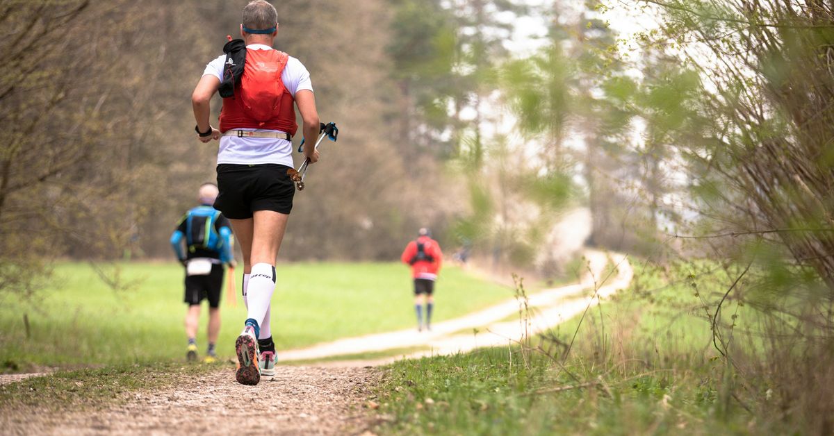 Nutritional Insights for HighPerformance Sports