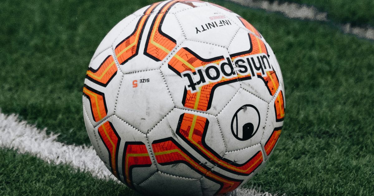 Challenges and Triumphs in Womens Professional Leagues